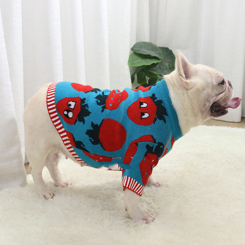 Strawberry Cartoon Sweater for Short Fat Dogs