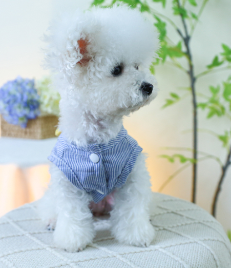 Teddy Cat Bichon Pomeranian Dog Vest with Traction Rope