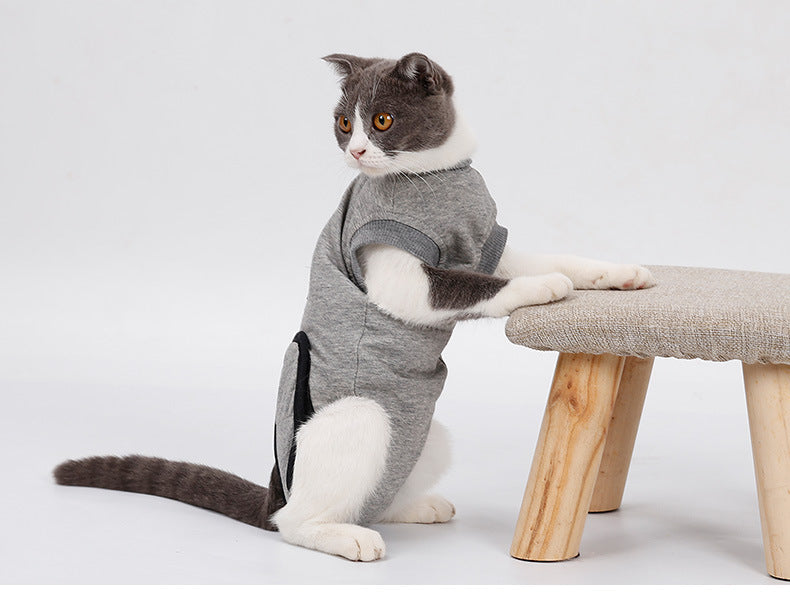 Pet Post-Surgery Recovery Suit for Spaying and Weaning