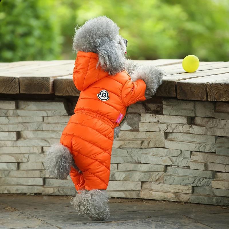 Winter Coats for Small Dogs: Teddy & Bichon Styles