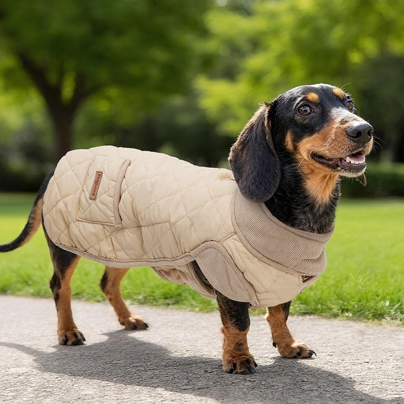 Dog Vest Autumn Winter