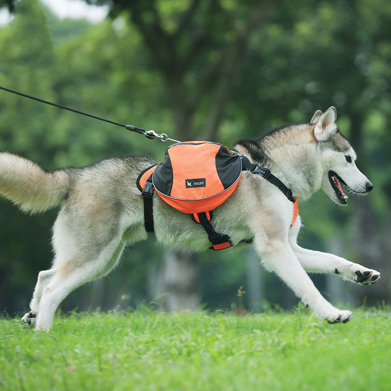 Pet Backpack with Reflective Strips for Safety
