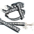 Dog Leash and Collar Set for Pets