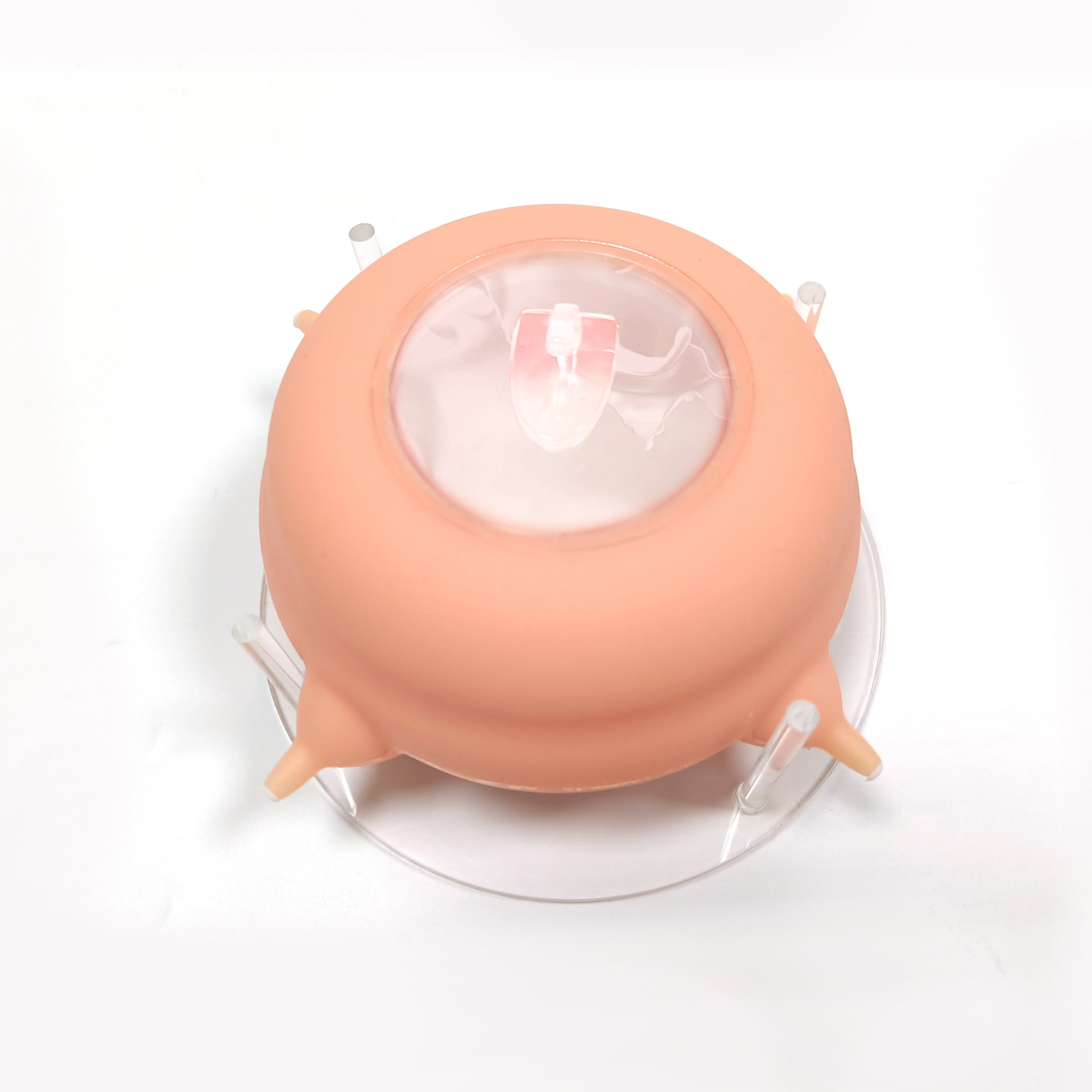 Wholesale Pet Nursing Bottle with Anti-Choke Design