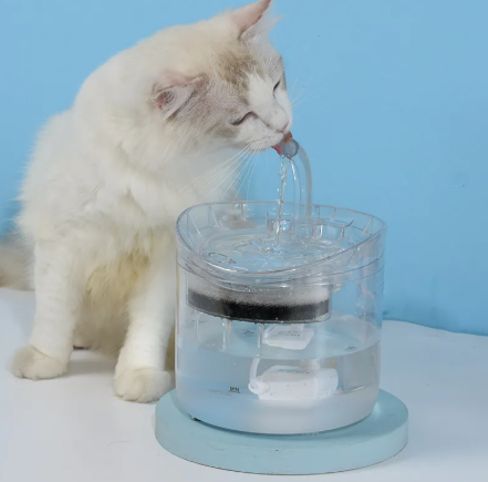 Aqua Paws Fountain