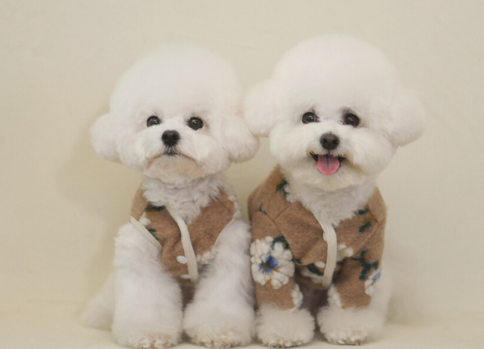 Warm Lamb Wool Flower Dog Sweater