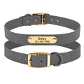 Medium Dog Collar and Leash for Teddy Breeds