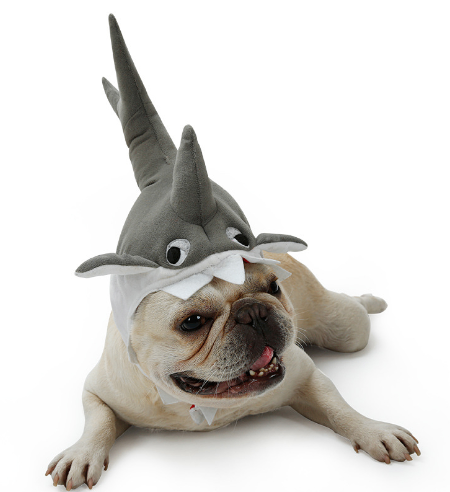 Cute Halloween Pet Shark Hat for Fun Transformation