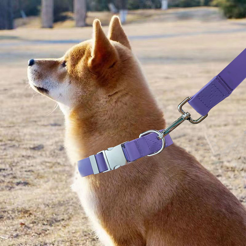 Adjustable Waterproof Silicone Pet Leash Rope