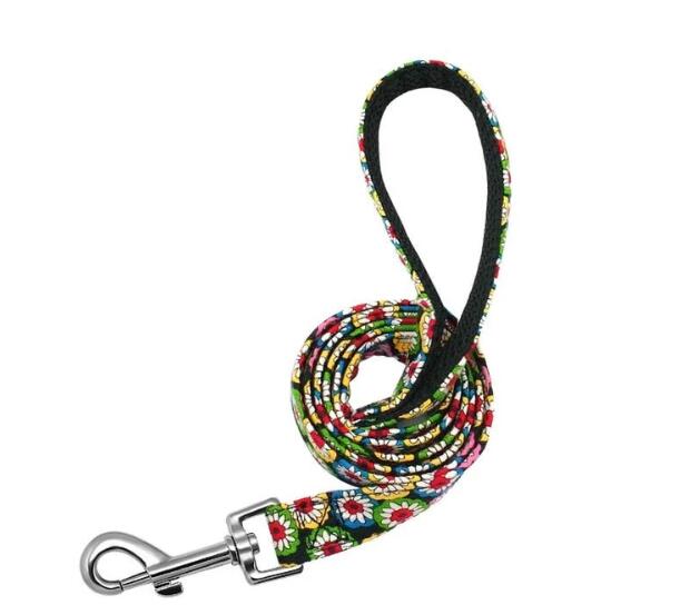 Nylon Leash for Pet Dogs
