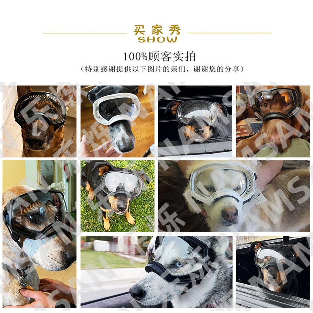 Pet Sunglasses for Medium to Large Dogs - UV Protection