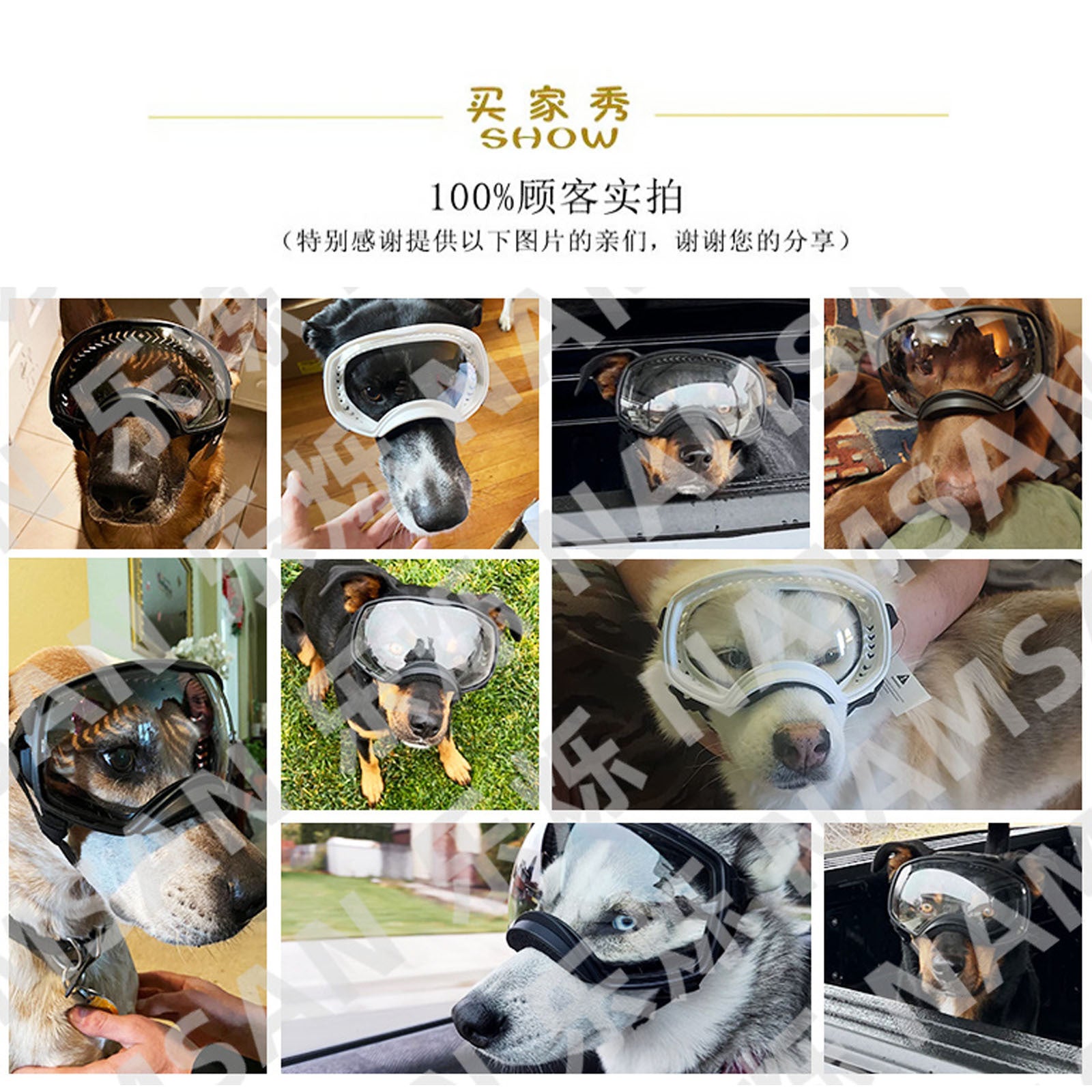 Pet Sunglasses for Medium to Large Dogs - UV Protection