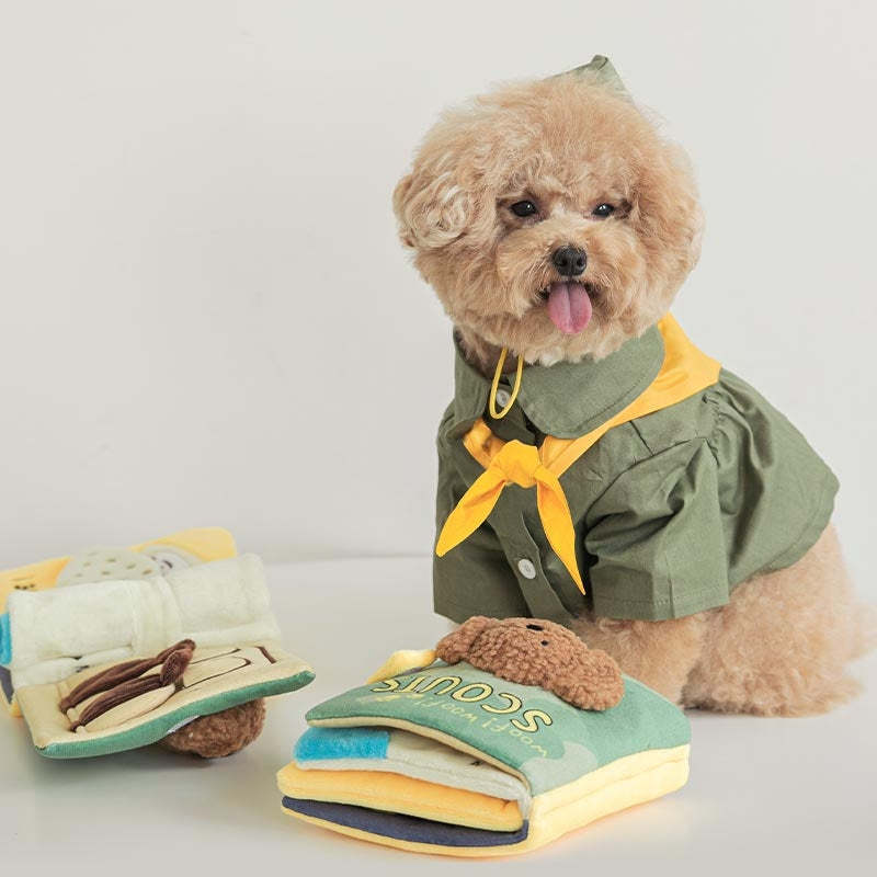 Dog Sniffing Mat and Soft Book Puzzle Toy Set