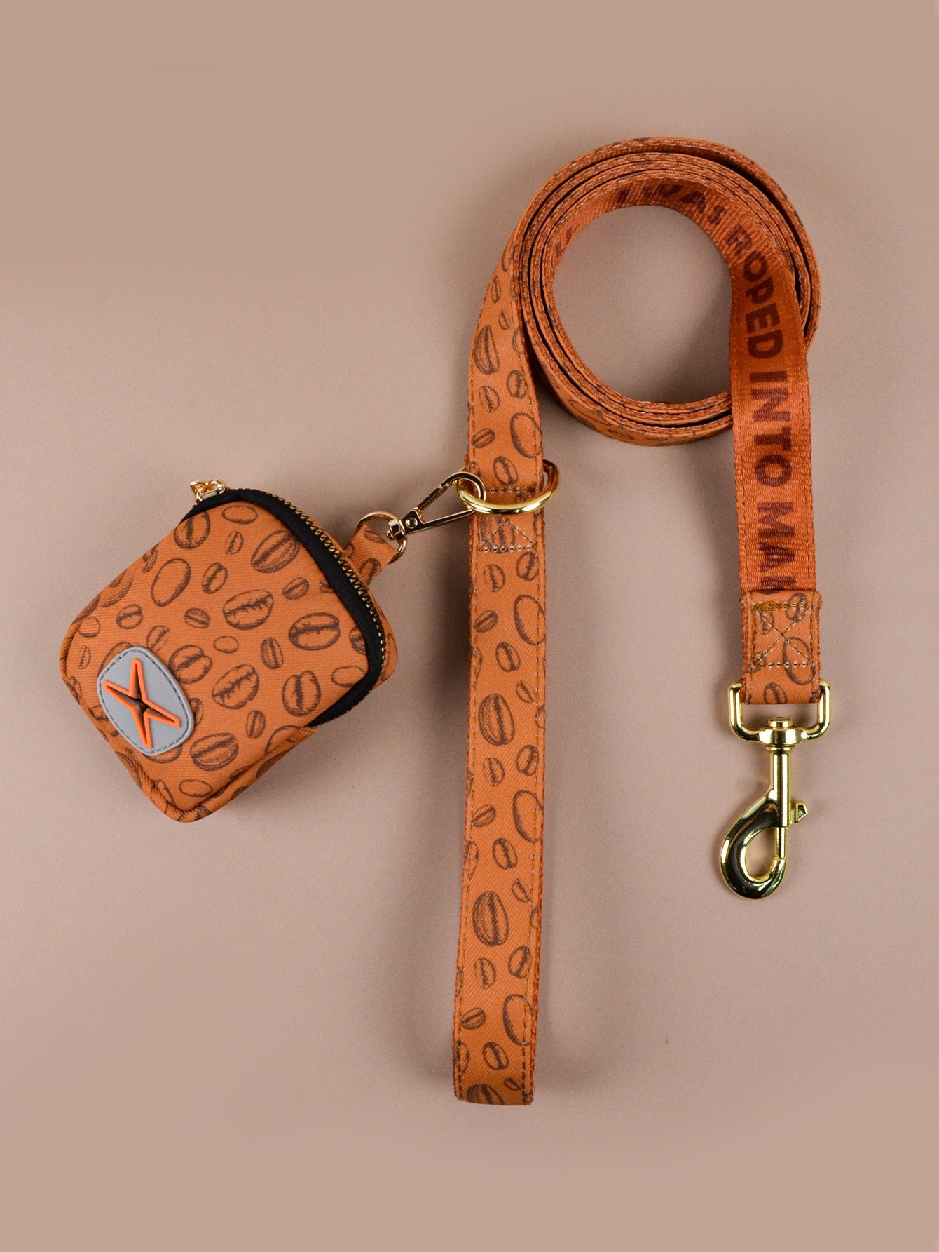 Dog Leash & Poop Bag Holder Set