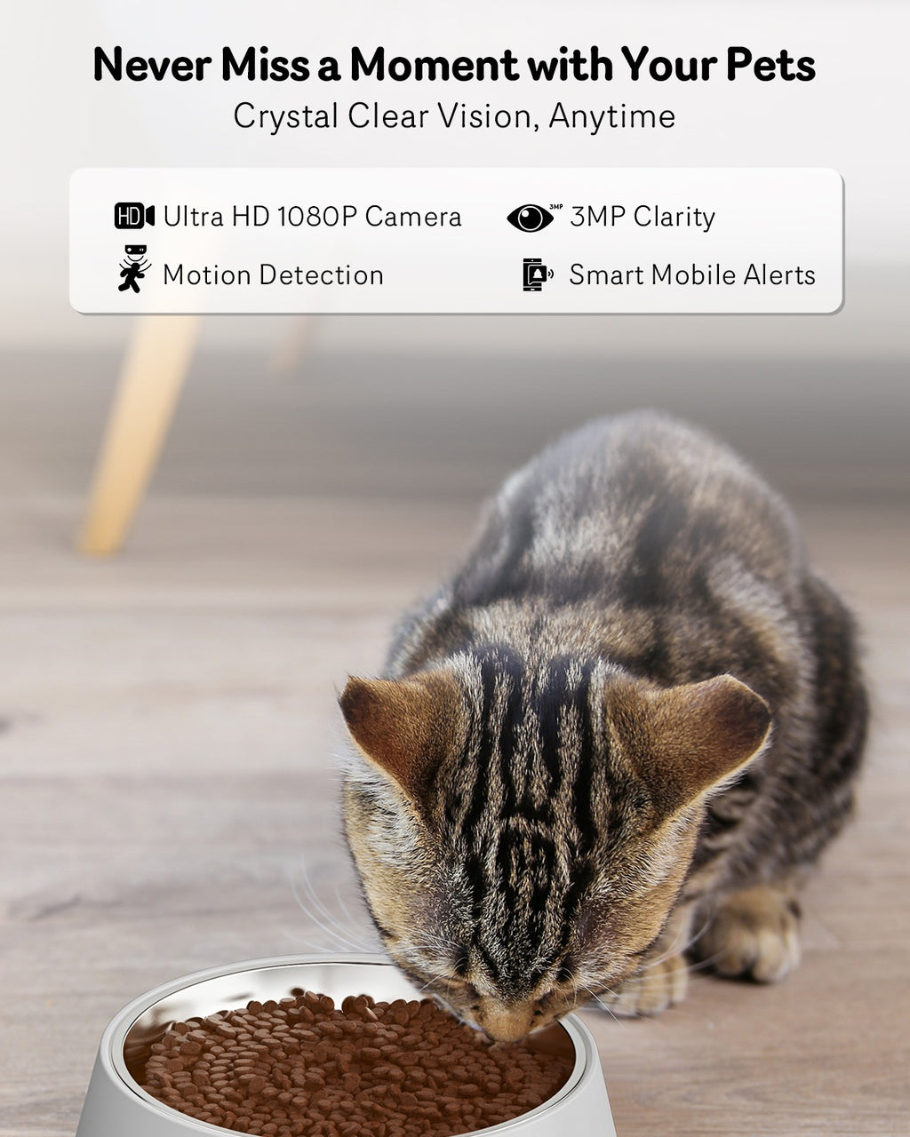 Automatic Cat Feeder with Camera 1080P HD