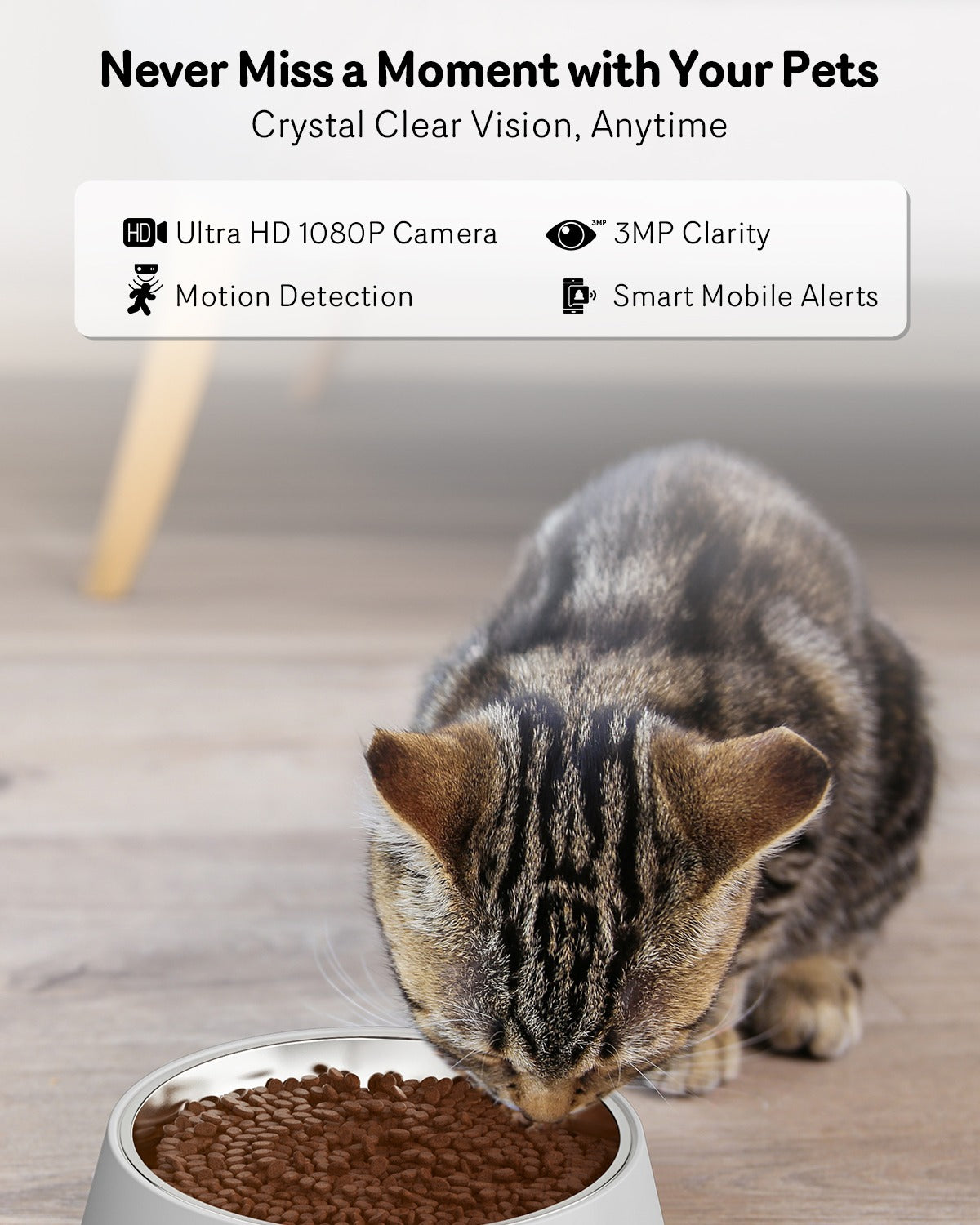 Automatic Cat Feeder with Camera 1080P HD