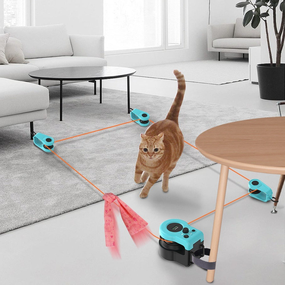 Cat Weight Loss Remote Control Toy