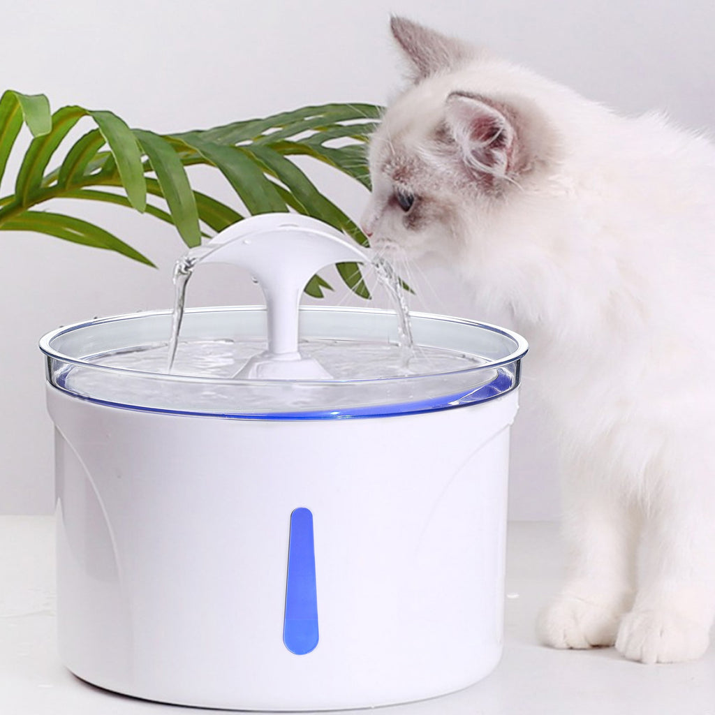 Pet Water Feeder