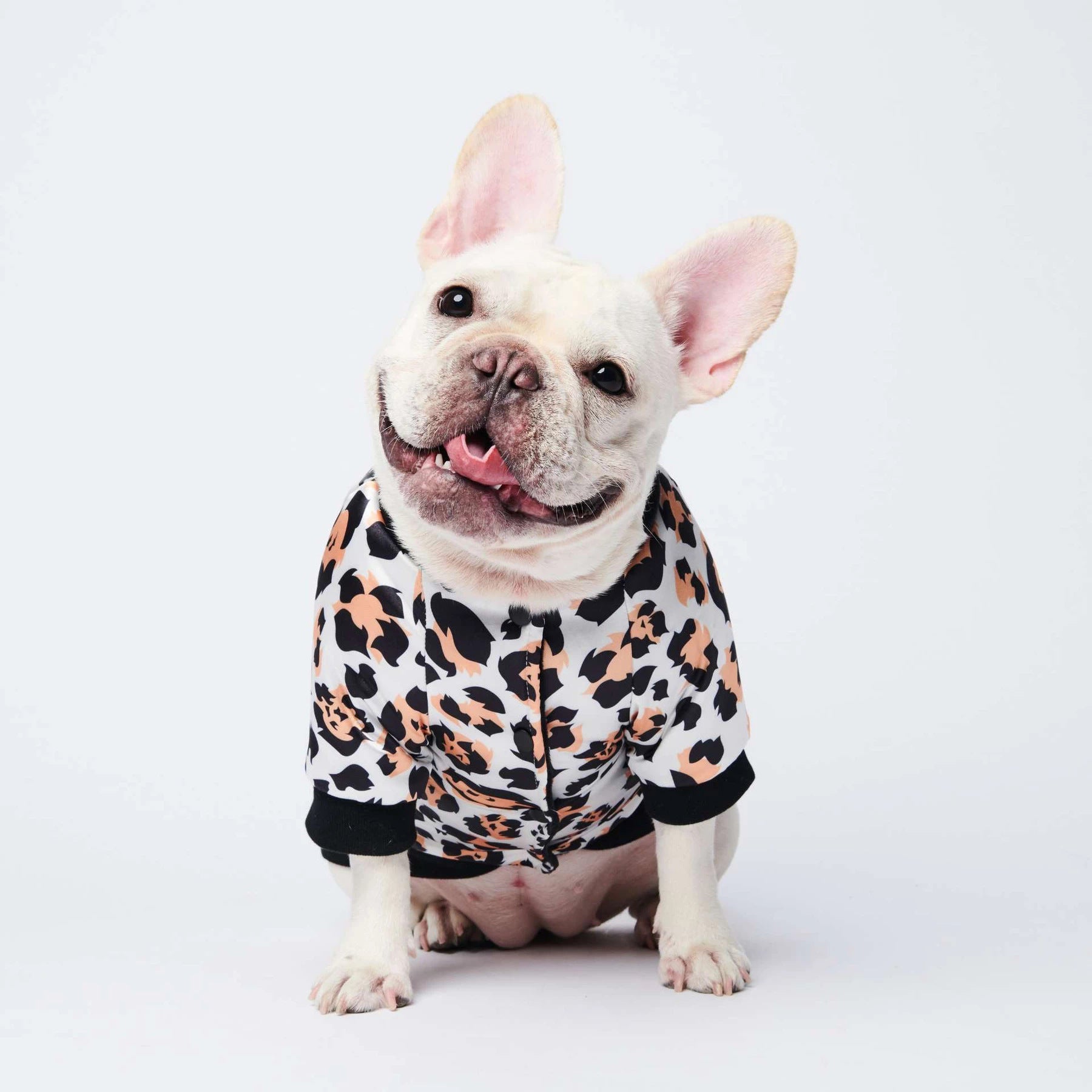 Trendy Cotton-Padded Dog Clothes for Autumn & Winter