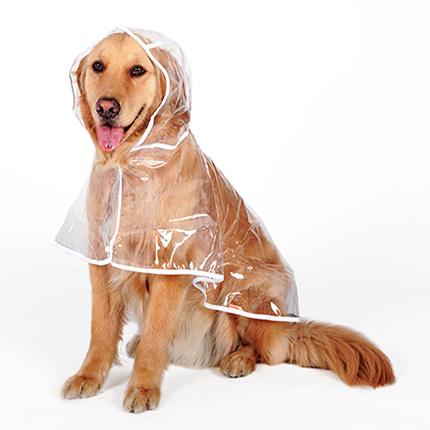 Dog Raincoat for Large and Medium Breeds (Golden, Husky)