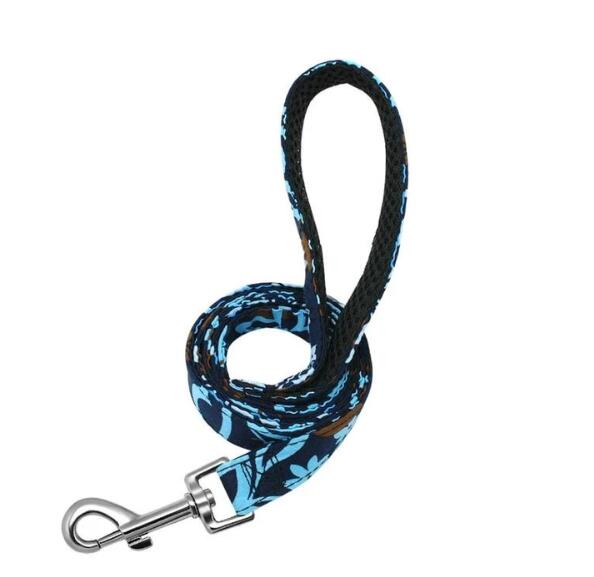 Dog Collar and Leash for Large Dogs