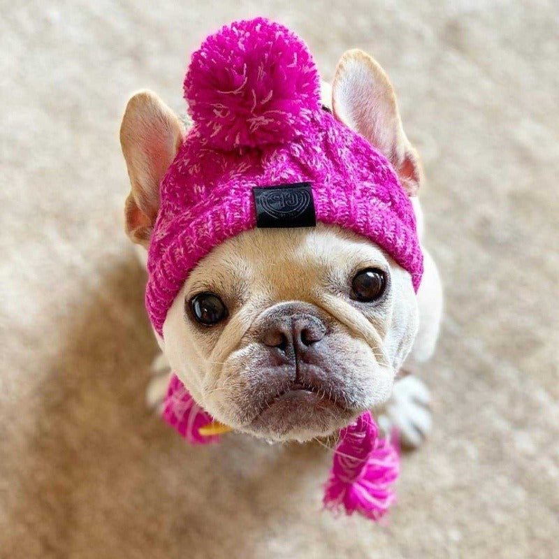 Wool Ball Knitted Dog Hat