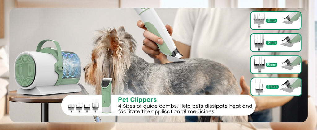 Pet Hair Remover Vacuum All-in-One