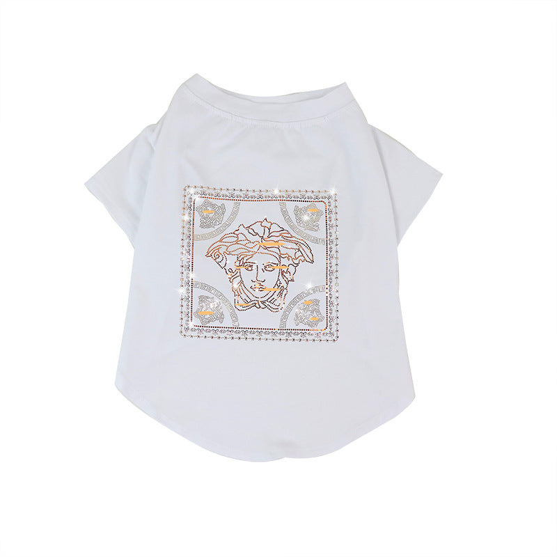 Summer T-shirt for Schnauzer Teddy Fashion Brand