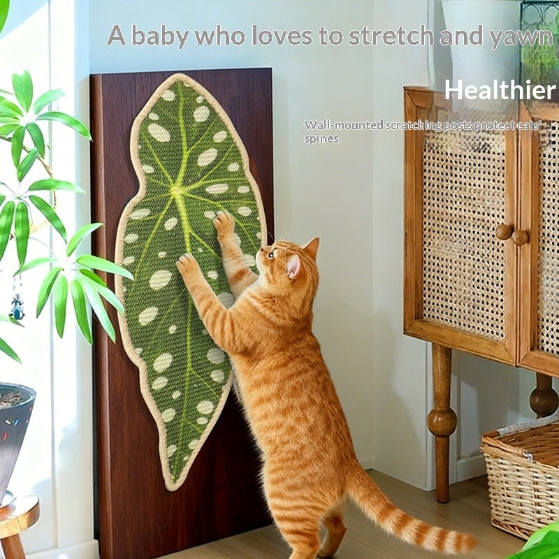 Cat Scratch Board