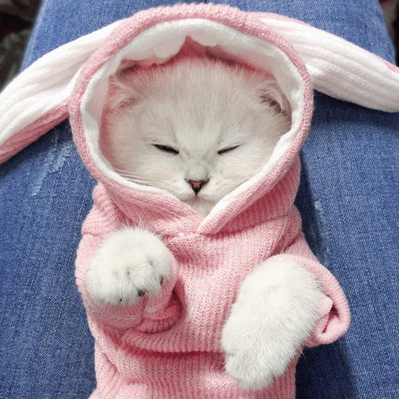 Cute Rabbit Sweater Pet Dog Clothes