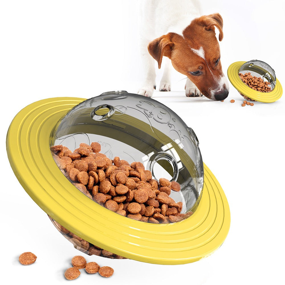 Missing Food Educational Pet Toy