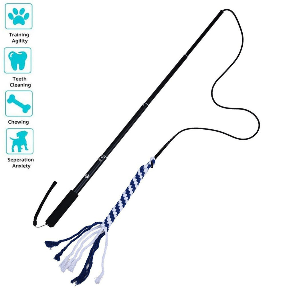 Retractable Dog Walker Toy Stick