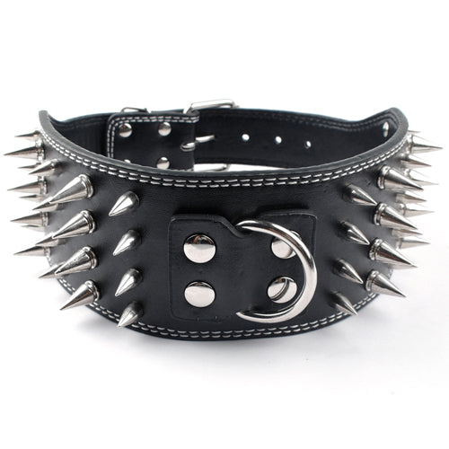 New Sharp Spiked Collar for Large Dogs (Golden Retriever)
