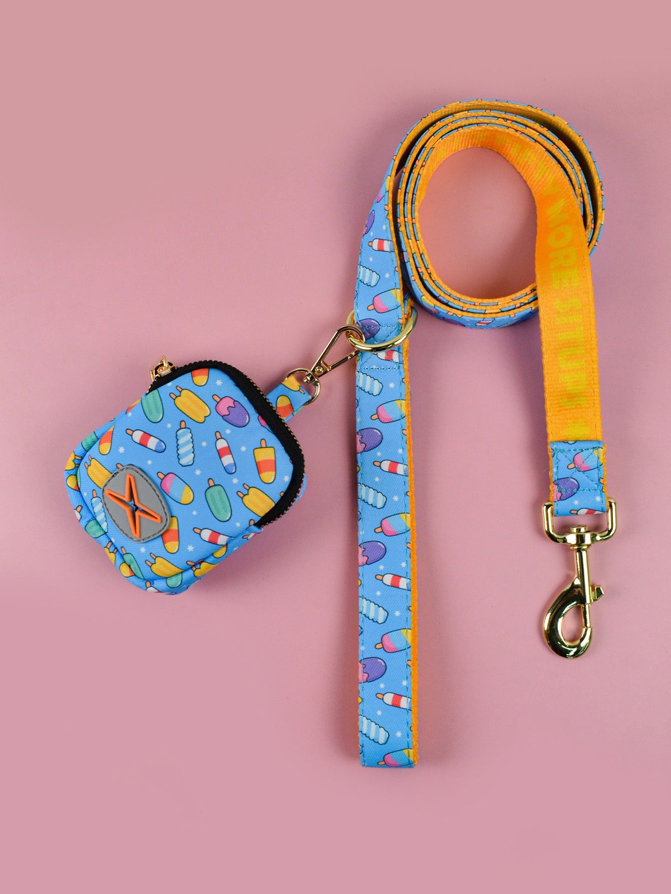 Dog Leash & Poop Bag Holder Set