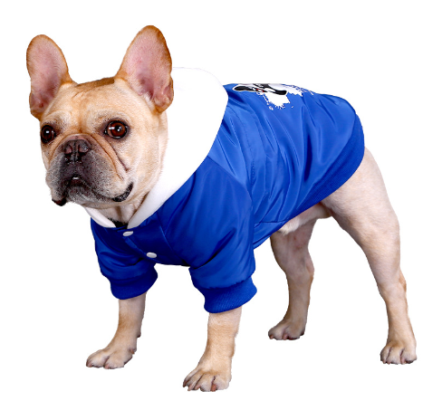 Big Dog Clothes for Labrador & Golden Retriever