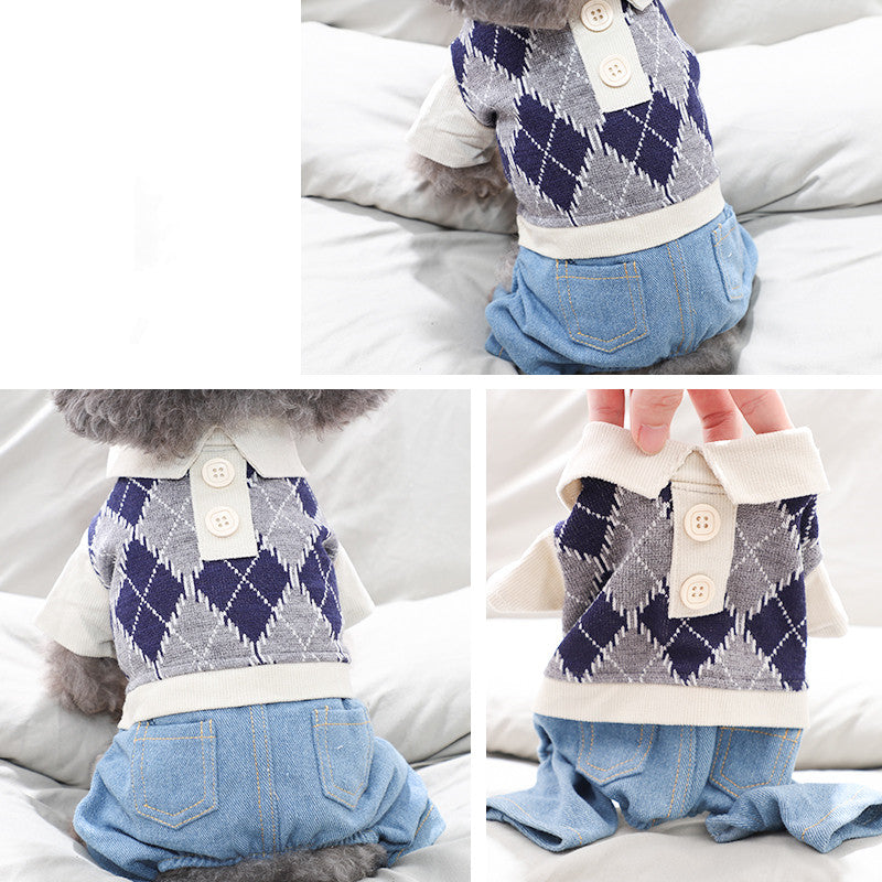 Winter Clothes for Dogs - Four-Legged Apparel