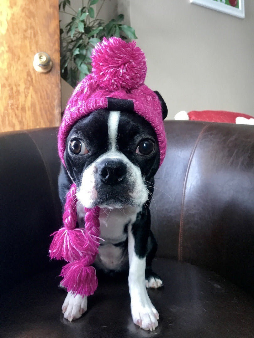 Wool Ball Knitted Dog Hat