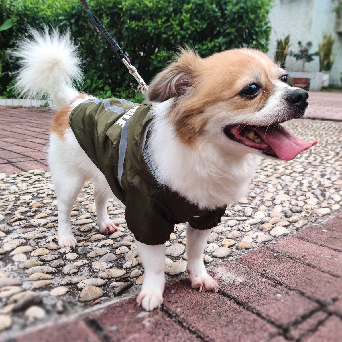 Reflective Strip Pet Raincoat in New Style