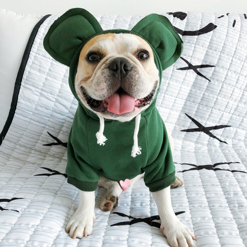 Pet Autumn Winter Matching Outfits with Cute Ears