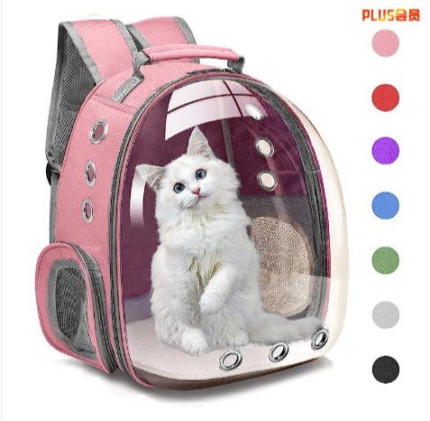 Large Transparent Cat Backpack