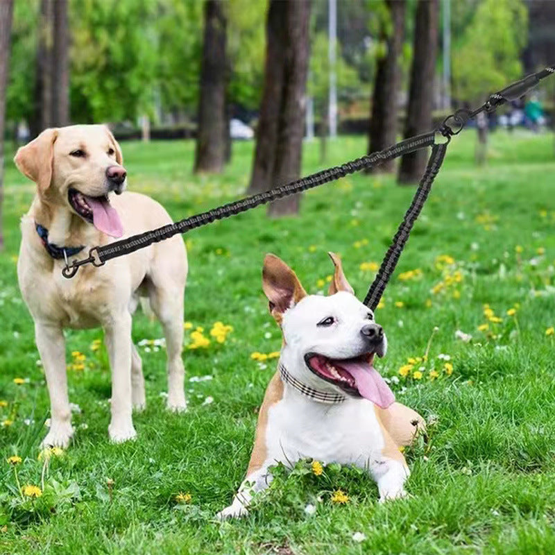 Reflective Polyester Pet Drag Two Traction Leash