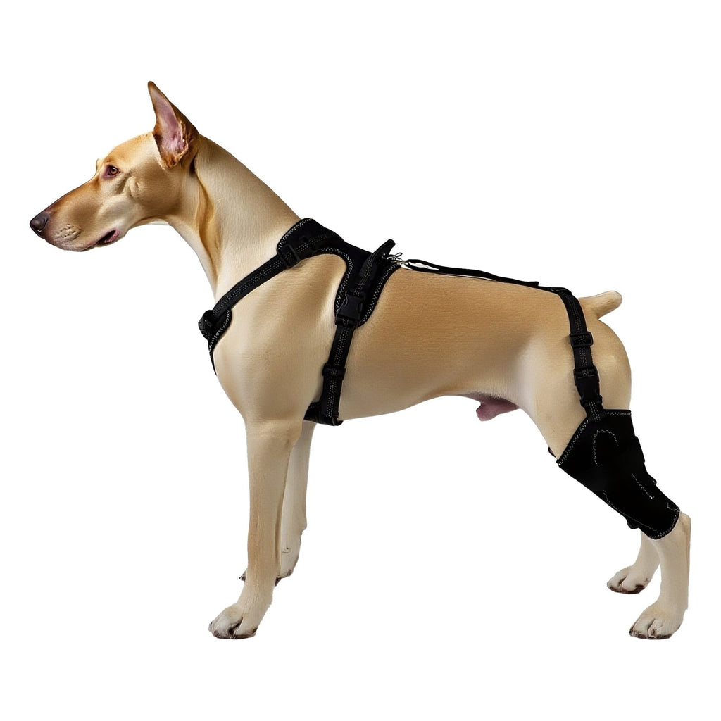 Pet Leg & Joint Protection Sleeves