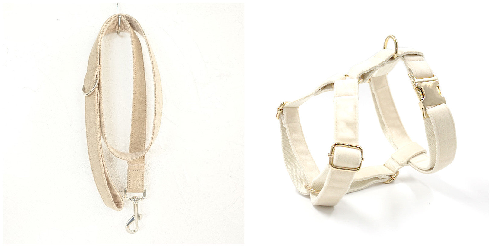 Dog Collar with Traction Rope Attachment