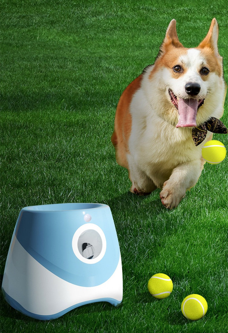 Automatic Dog Ball Launcher