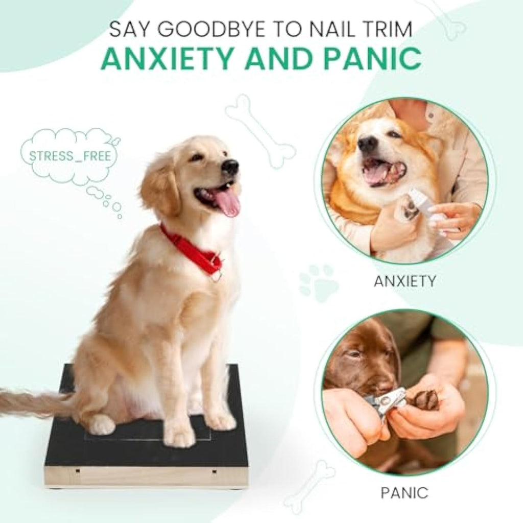 Dog Nail Scratch & Grinder Board with Treat Box