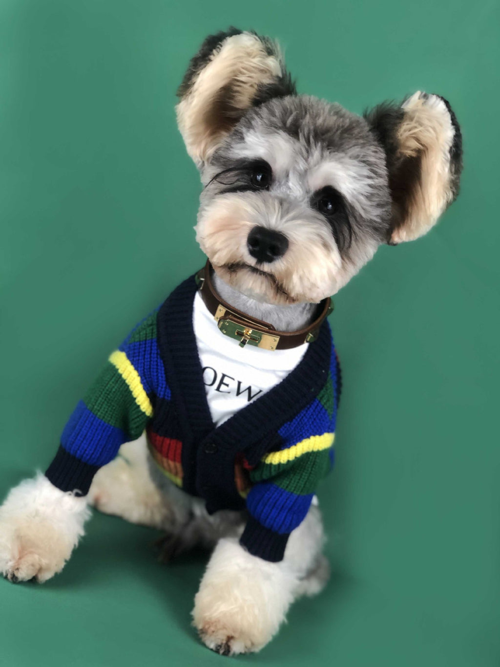Rainbow Stripe Cardigan for Dogs (Dog Sweater)