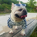 Stretchy Zip-Up Jacket for Dogs and Pets