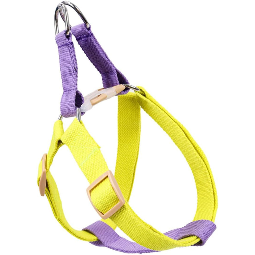 No-Pull Nylon Dog Harness & Leash Set