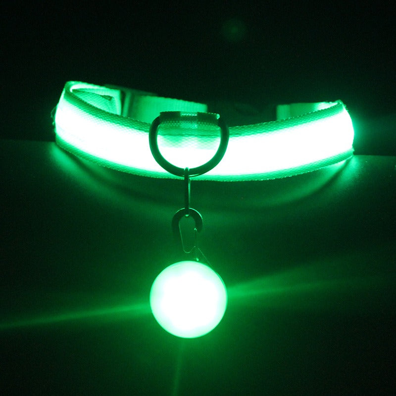 Luminous LED Dog Collar