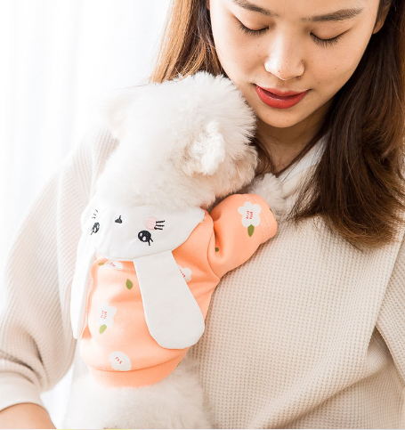 Little Rabbit Shaped Transforming Pet Sweatshirt